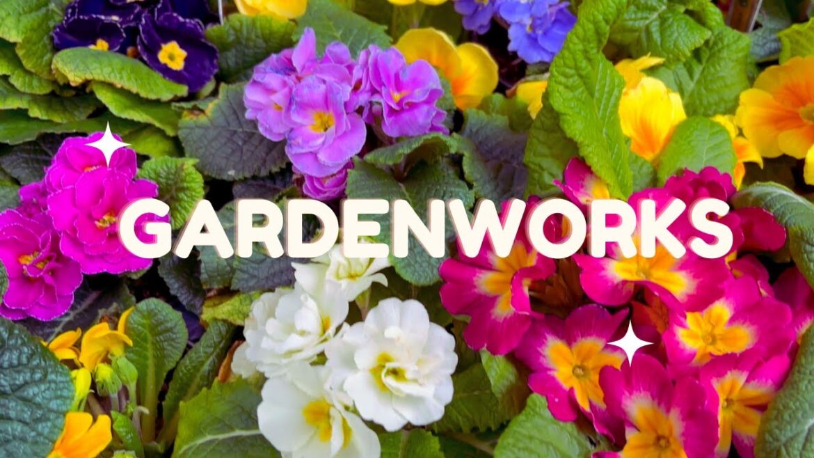 Springtime at the Garden Store