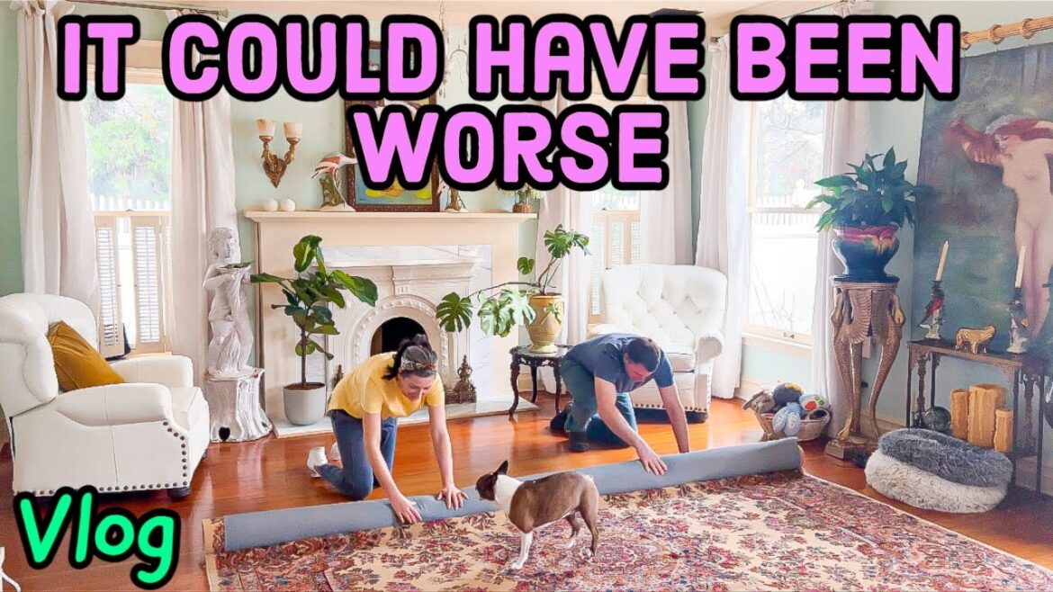 Vlog | Spring Garden Planning | Heirloom Roses and Home Renovations #garden #spring #home