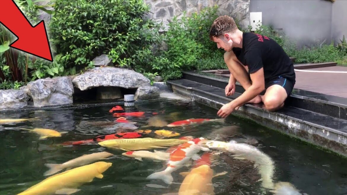 $250,000 *KOI* FISH POND!! - Inside America's Most Beautiful Backyards...