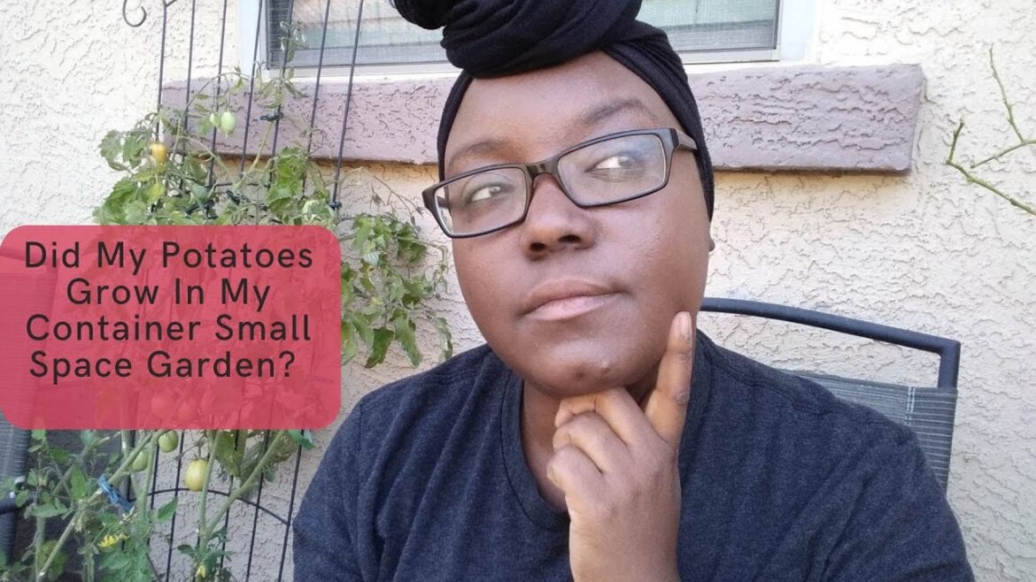 Did My Potatoes Grow In My Container Small Space Garden? - Garden Zone 9B