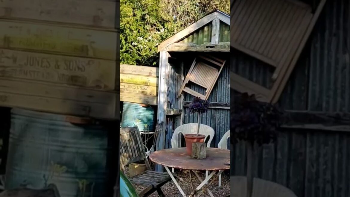 Spring Small Vintage Container Garden Tour 2023. See comments for link to full garden tour video Spring Small Vintage Container Garden Tour 2023. See comments for link to full garden tour video