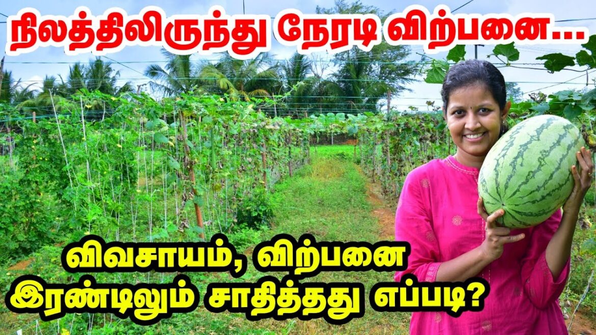 2000 குடும்பங்களுக்கு vegetables supply செய்யுறோம்… அசத்தும் MyHarvest அர்ச்சனா ஸ்டாலின்! 2000 குடும்பங்களுக்கு vegetables supply செய்யுறோம்... அசத்தும் MyHarvest அர்ச்சனா ஸ்டாலின்!