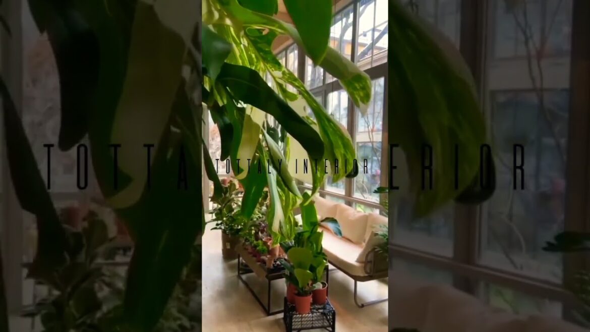 interior trends for spring summer 2023, 2024🏠 #shorts #shortsfeed #trendingshorts #interiordesign