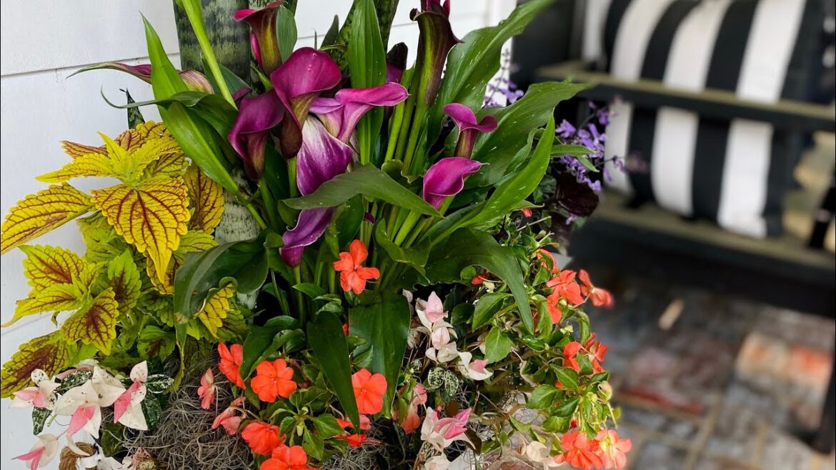 Plant list for your Spring Container Garden Plant list for your Spring Container Garden