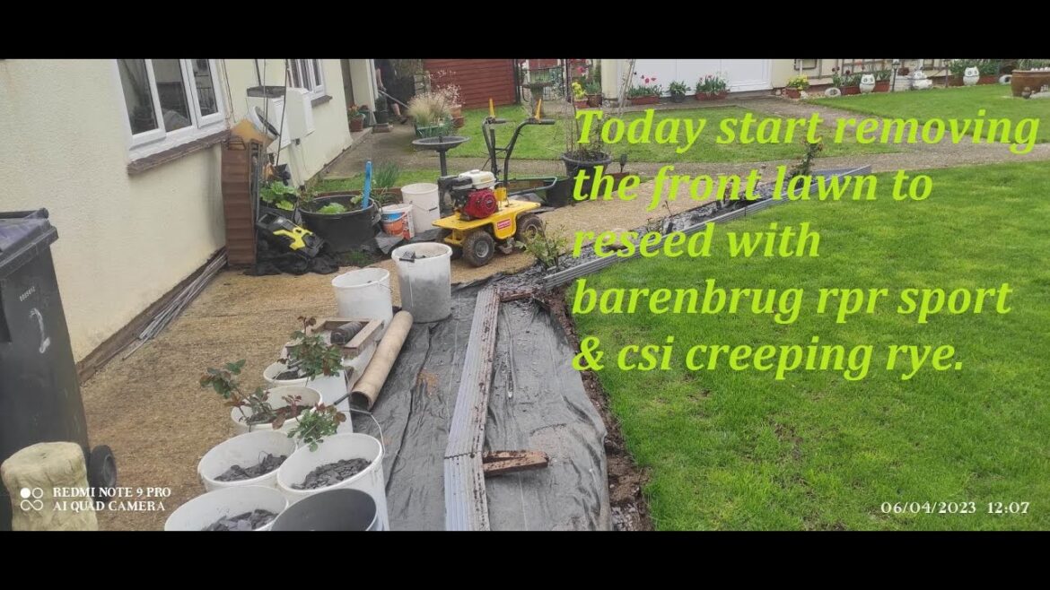 06.04.23 removing front #lawn  #turf  cutter  #lawncare