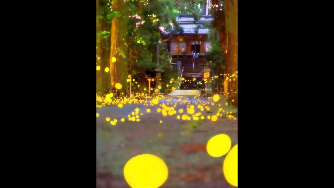 【Japanese Landscape】#shorts #Japan #kyoto #garden #japanese