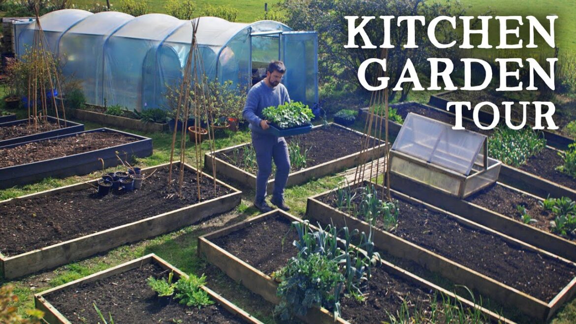 April Tour of my Raised Bed Vegetable Garden