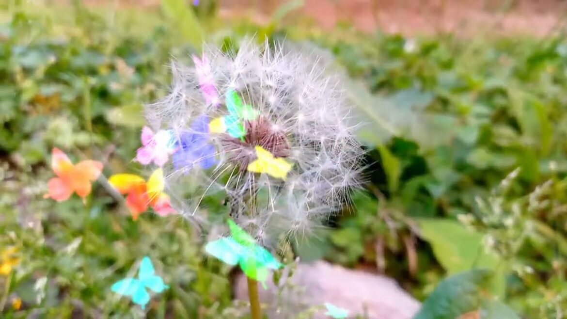 Natural flowers|Beautiful view green scenery villagevalleyसुंदर दृश्य|pemandangan indah|Красивый вид