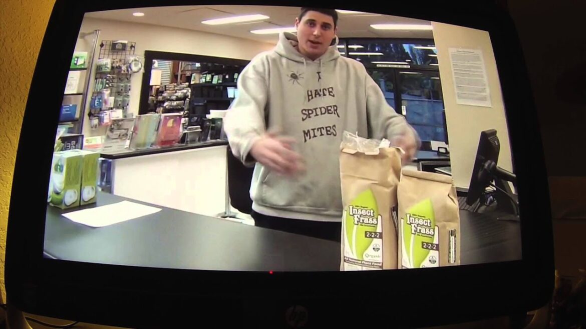 "Insect Frass" 100% Organic for Marijuana Gardening