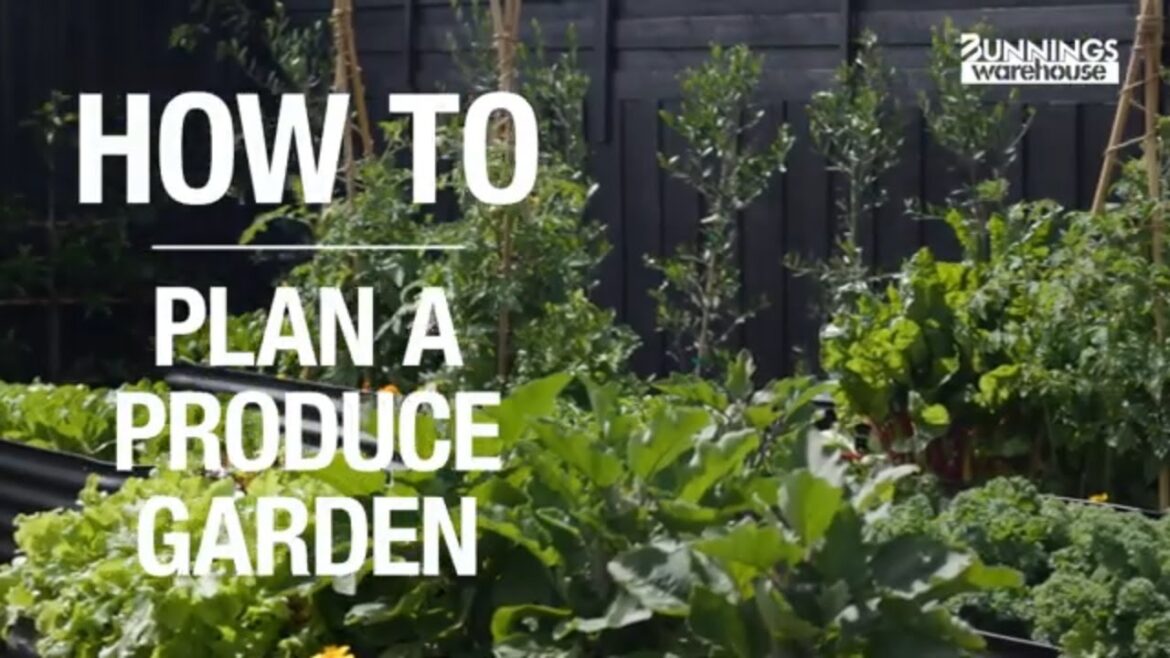 Vegie Garden Ideas: How to Plan a Vegie Garden - Bunnings Warehouse