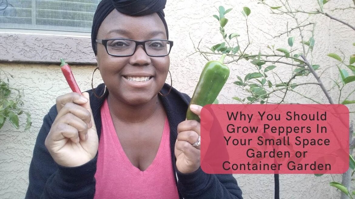 Why You Should Grow Peppers In Your Small Space Garden or Container Garden