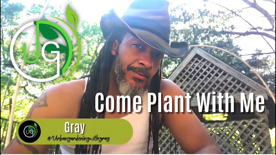 Come Plant With Me: Cucumbers & Lettuce as Companions