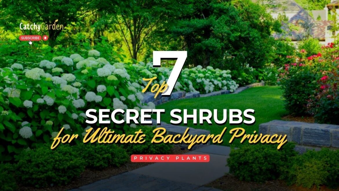 Top 7 Secret Shrubs for Ultimate Backyard Privacy 🌲🏠🌸 // Gardening Ideas Top 7 Secret Shrubs for Ultimate Backyard Privacy 🌲🏠🌸 // Gardening Ideas