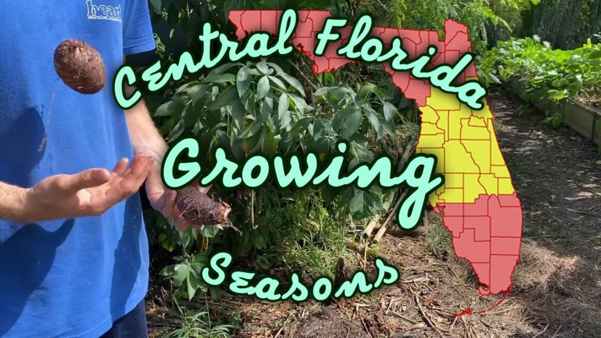 Florida Gardening: What To Plant, When To Plant It!