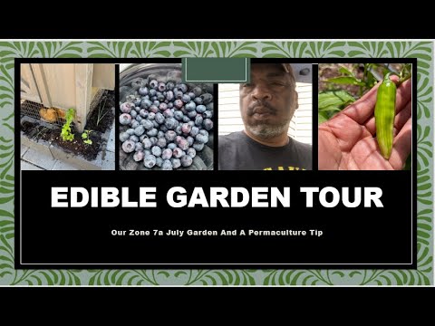 Using Permaculture Principles | Edible Garden Tour | July Garden Makeover Using Permaculture Principles | Edible Garden Tour | July Garden Makeover
