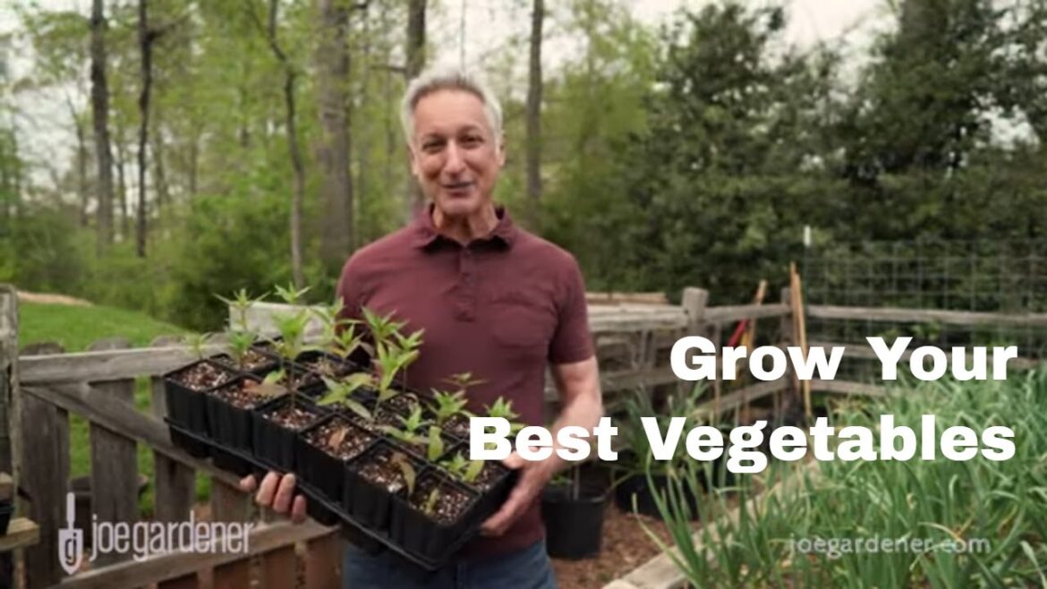 Tips for Creating a Bountiful Vegetable Garden