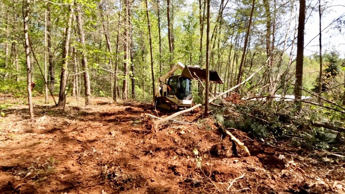 Baby Chick & Clearing the Land for the Coop | Gardening with Creekside