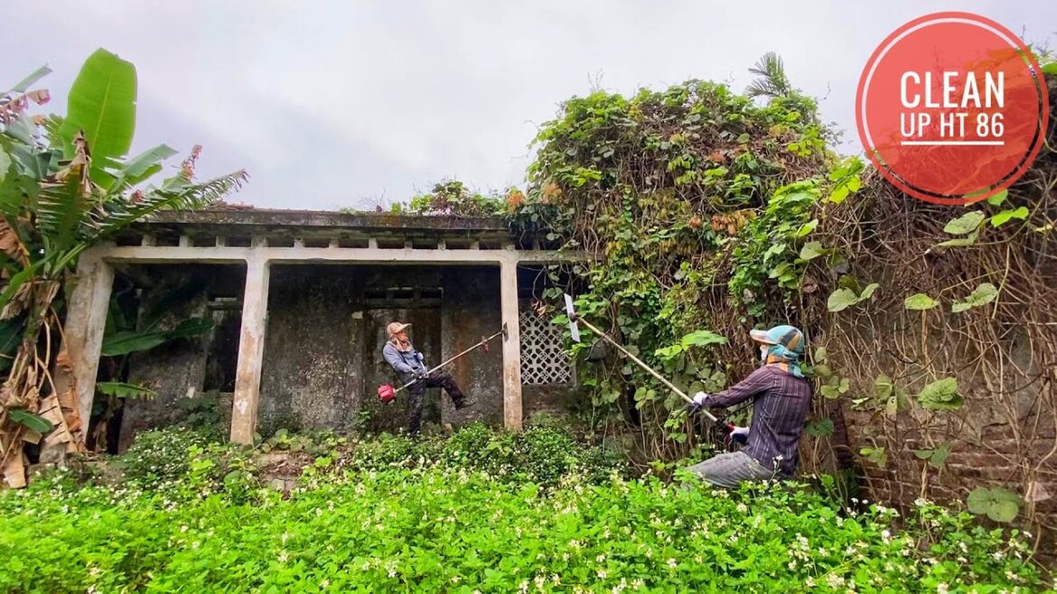 House Overgrown with grass Invade I mow the lawn clean Transform The owner is unexpectedly happy House Overgrown with grass Invade I mow the lawn clean Transform The owner is unexpectedly happy