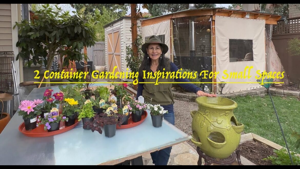 2  Container Gardening Inspirations For Small Spaces