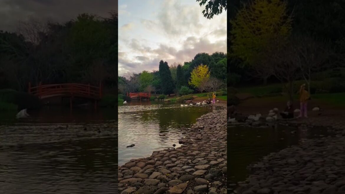 Japanese Gardens Japanese Gardens