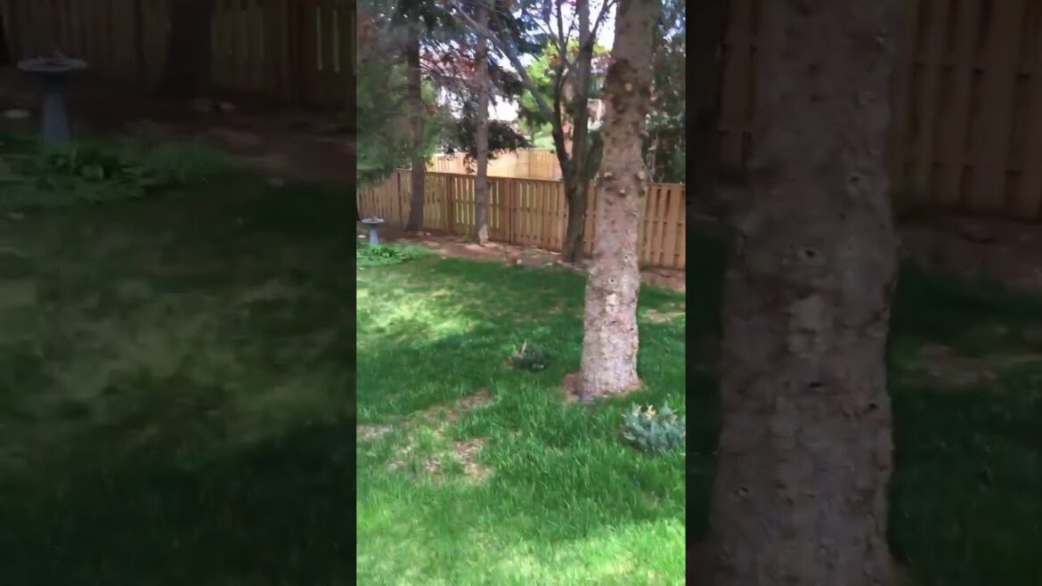 I found the easter bunny 🐣🐇