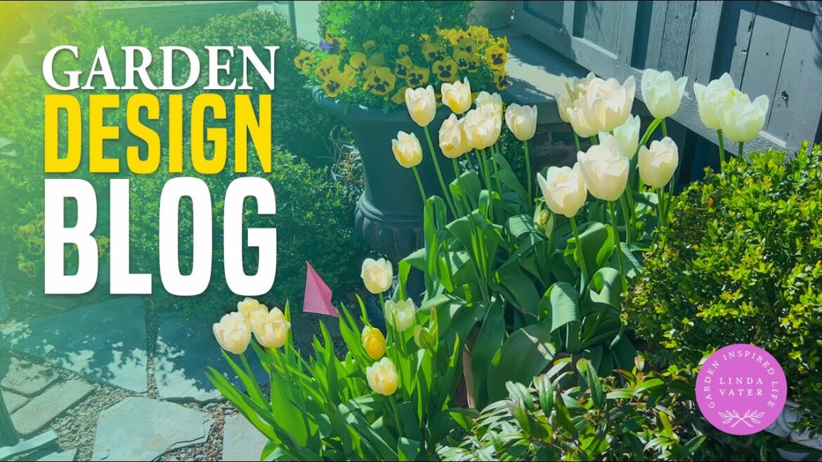 Garden Design Vlog for Today Garden Design Vlog for Today