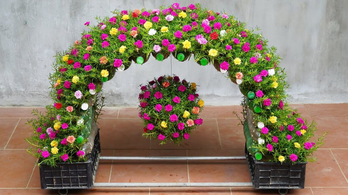 Beautiful Flower Rainbow For The Garden, Creative Small Garden Ideas