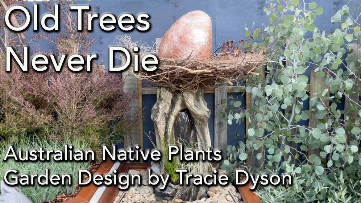 Old Trees Never Die - Garden design with Australian Plants plus others - Tracie Dyson - MIFGS 2023