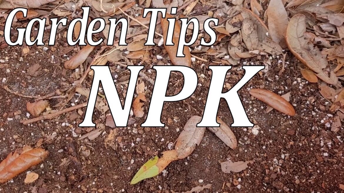 Garden Tips: NPK Garden Tips: NPK