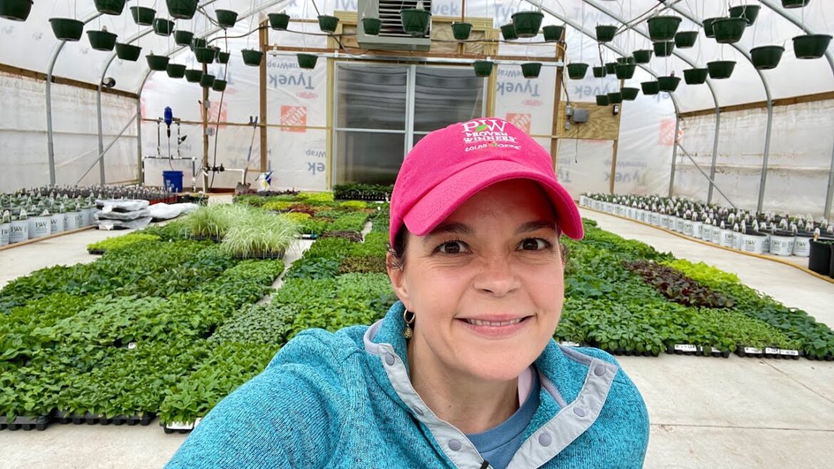 3 Huge Plant Deliveries in 1 Day | Gardening with Creekside 3 Huge Plant Deliveries in 1 Day | Gardening with Creekside