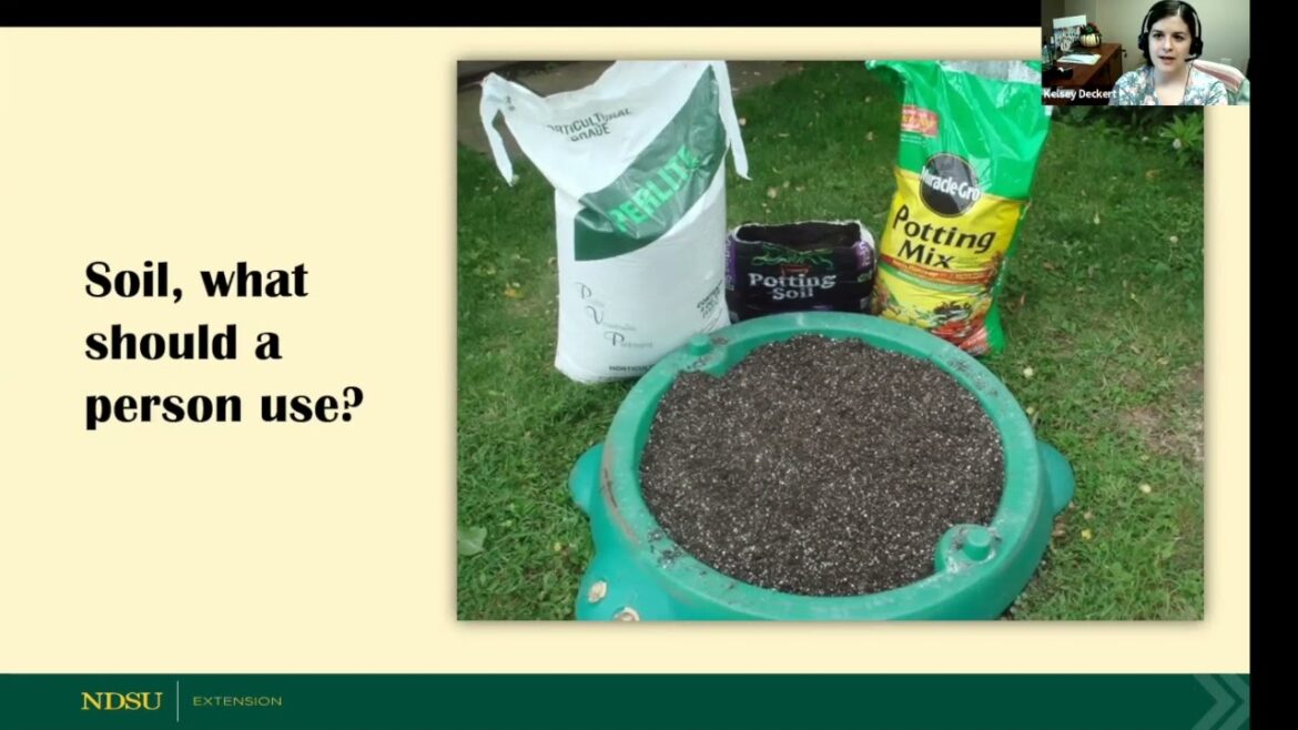 2023 Spring Fever Garden Forums: Container Gardening 2023 Spring Fever Garden Forums: Container Gardening