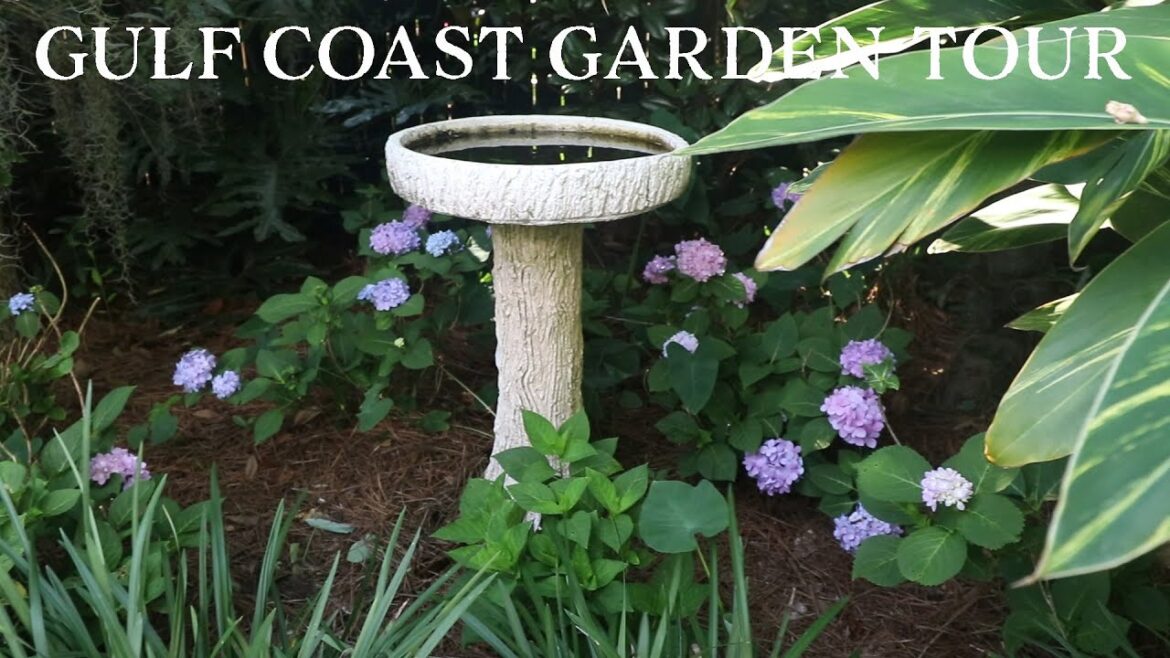 Bungalow Garden Tour – Amazing Gulf Coast Tropical Landscape Bungalow Garden Tour - Amazing Gulf Coast Tropical Landscape