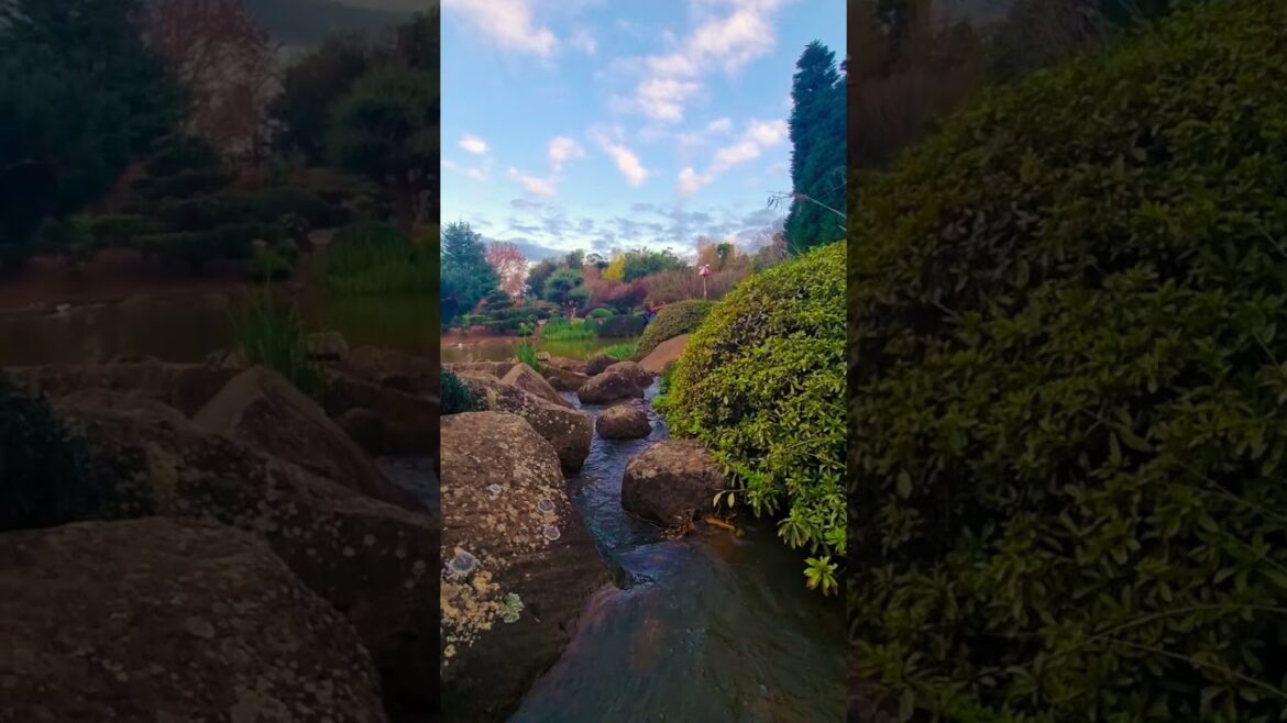 Japanese Garden in Toowoomba Japanese Garden in Toowoomba