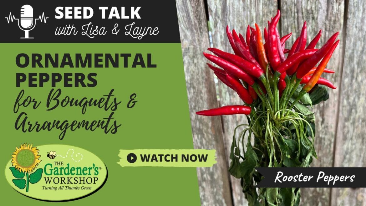 #32 - Ornamental Peppers for Bouquets & Arrangements