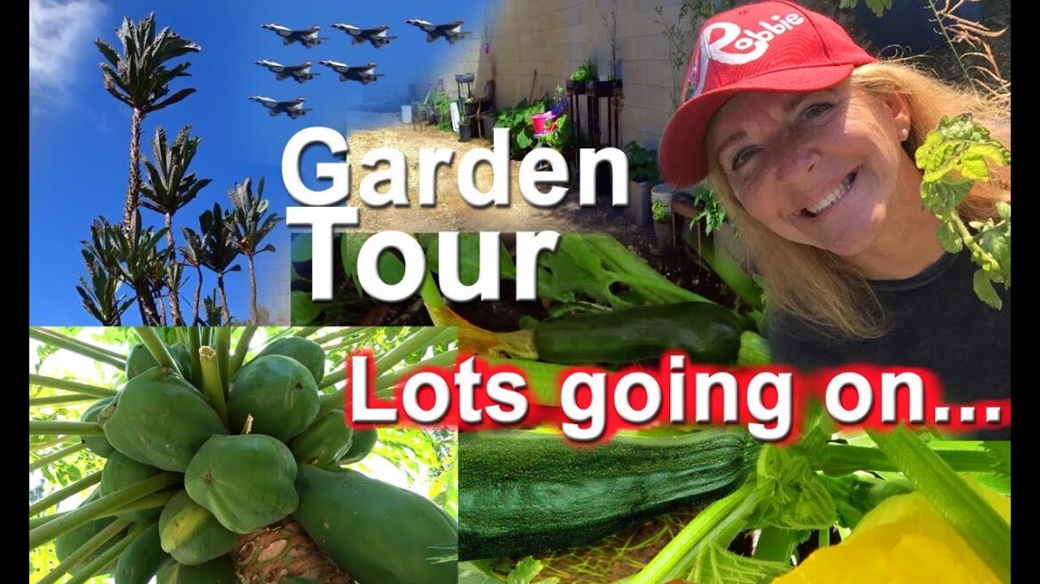Vegetable Food Garden Tips & Ideas Tons Growing in Ground I Pot Plants in Raised Bed Totes Container Vegetable Food Garden Tips & Ideas Tons Growing in Ground I Pot Plants in Raised Bed Totes Container