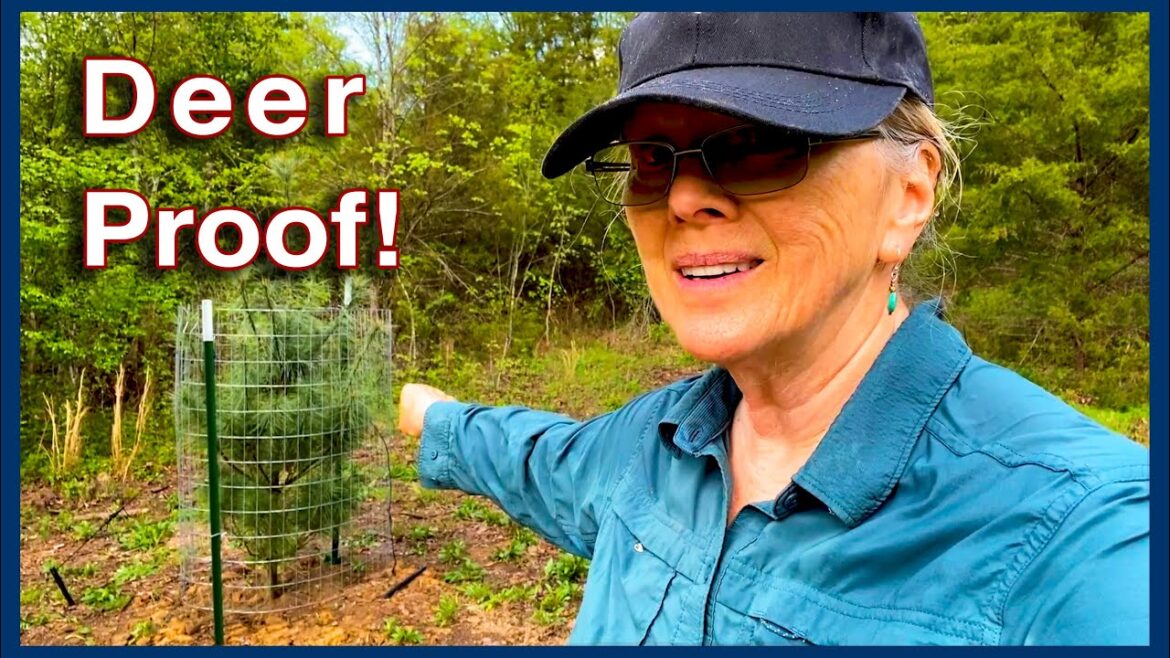 You won't see it LIKE THIS AGAIN! (so much POISON IVY!)