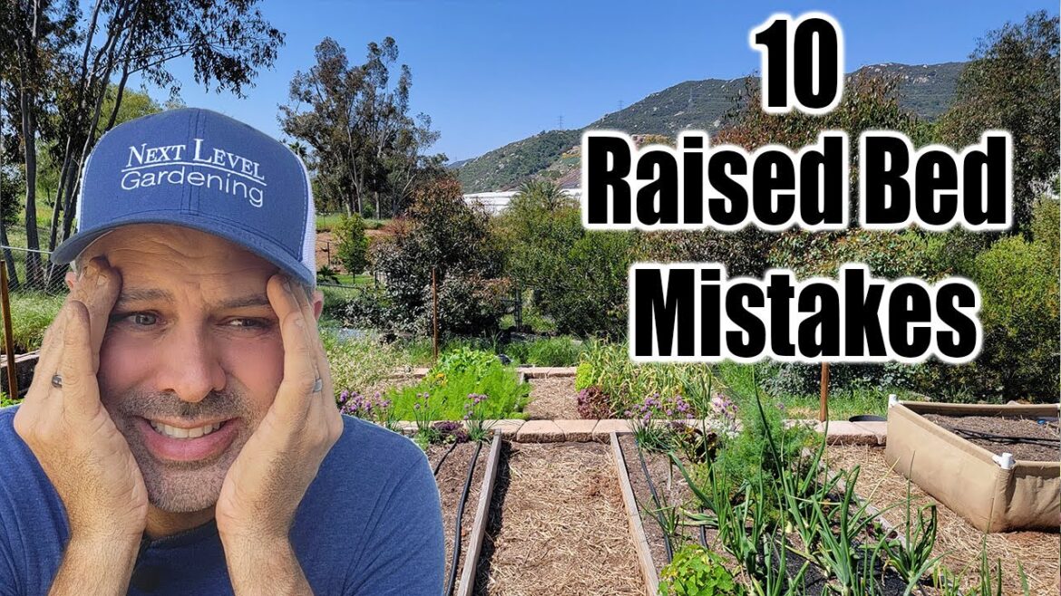 10 Common Raised Bed Garden Mistakes