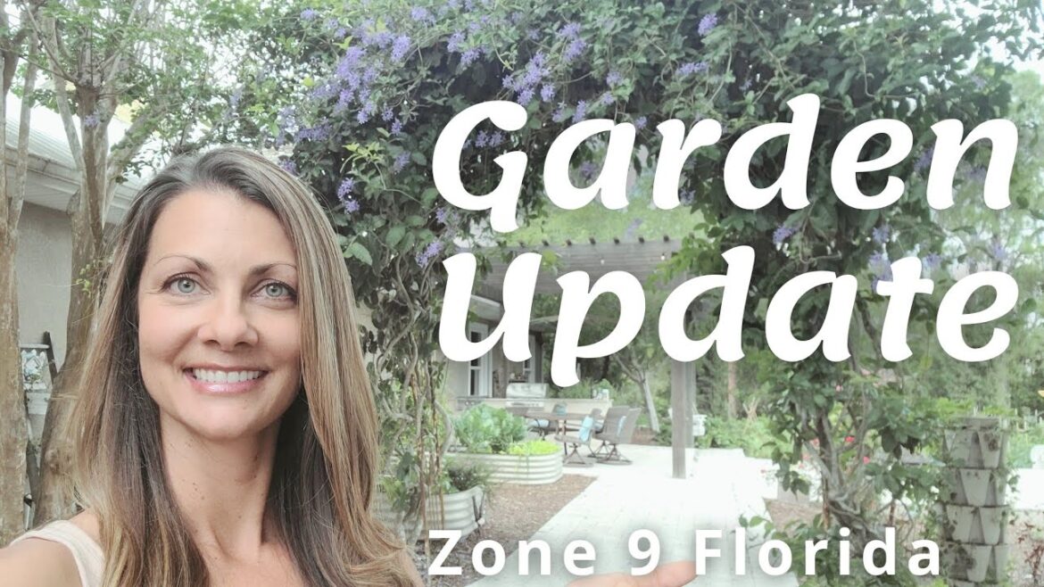 Vegetable Garden Tour | Zone 9 Garden Tour Florida | March 2023 Vegetable Garden Tour | Zone 9 Garden Tour Florida | March 2023