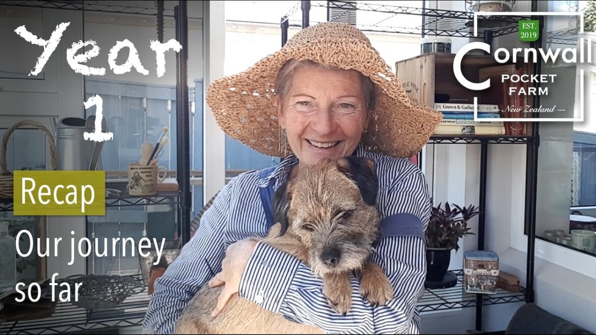 YEAR ONE. A fast recap of my green home renovation and creating my edible garden