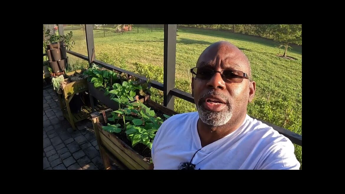 My Tips For Starting A Garden