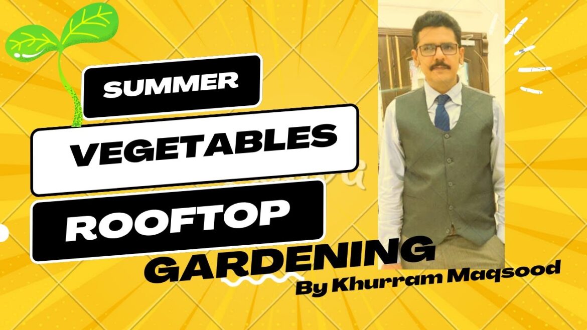 Summer Vegetables On Rooftop Gardening | Garmion ki Sabzian Summer Vegetables On Rooftop Gardening | Garmion ki Sabzian