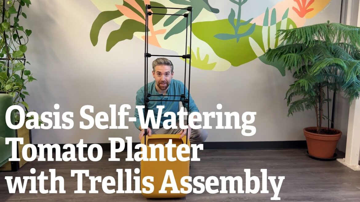 A Closer Look At The Oasis Self-Watering Tomato Planter with Trellis Assembly A Closer Look At The Oasis Self-Watering Tomato Planter with Trellis Assembly
