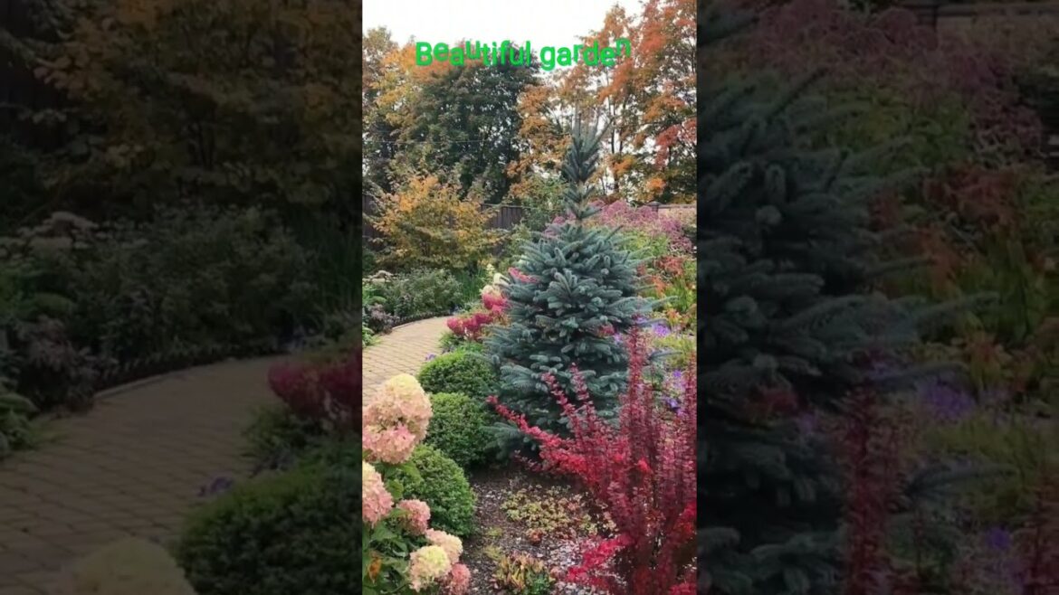 Beautiful garden#design #shorts