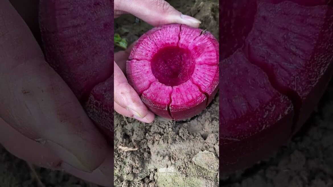 Best Oddly Satisfying Video & Relaxing Music | fruit cutting video #viral #shorts #20