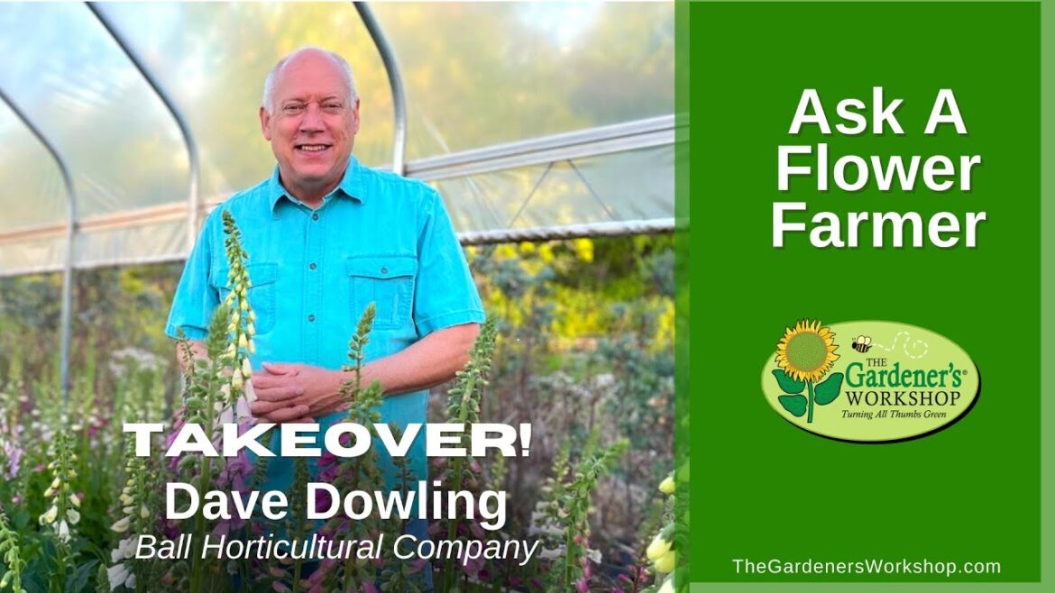 Replay: Ask A Flower Farmer Takeover with Dave Dowling