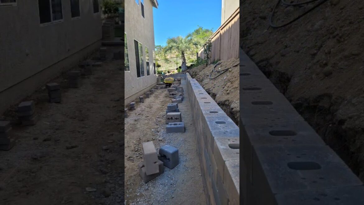 EXTREME BACKYARD MAKEOVER!! EXTREME BACKYARD MAKEOVER!!