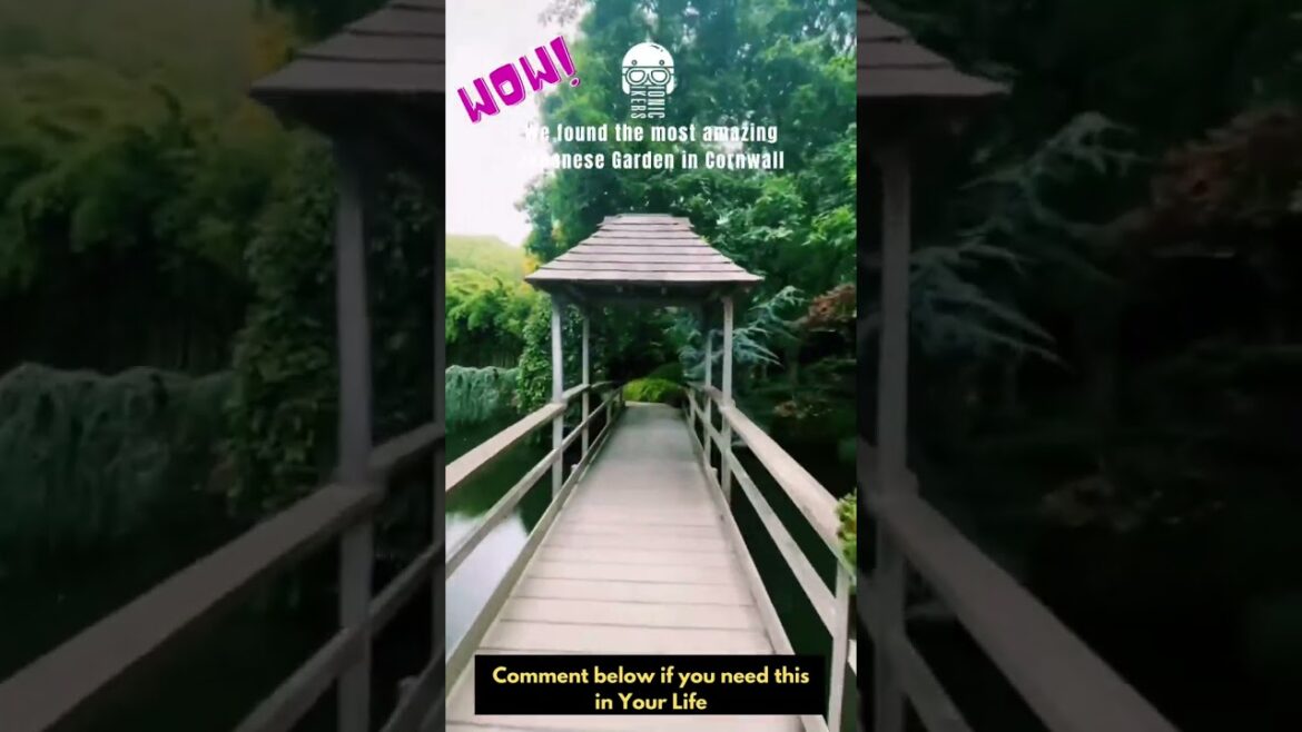 Amazing Peaceful Japanese Garden in Cornwall Amazing Peaceful Japanese Garden in Cornwall