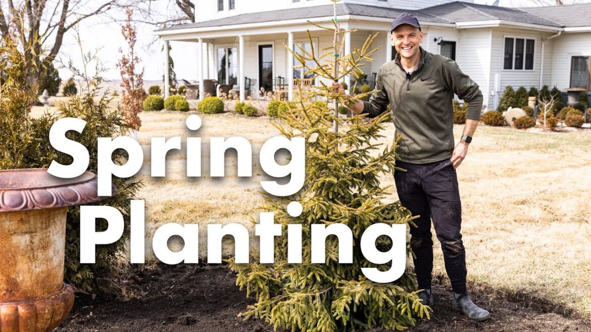 Planting a New Flowerbed! 🌷🌲 || Wyse Guide