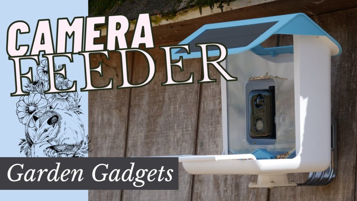 Garden Gadgets: VIDEO BIRD FEEDERS ARE THE COOLEST! Garden Gadgets: VIDEO BIRD FEEDERS ARE THE COOLEST!