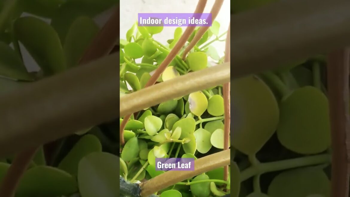 Green Leaf. Indoor design ideas. Decoration ideas. #garden #design #indoor #viral #shorts.